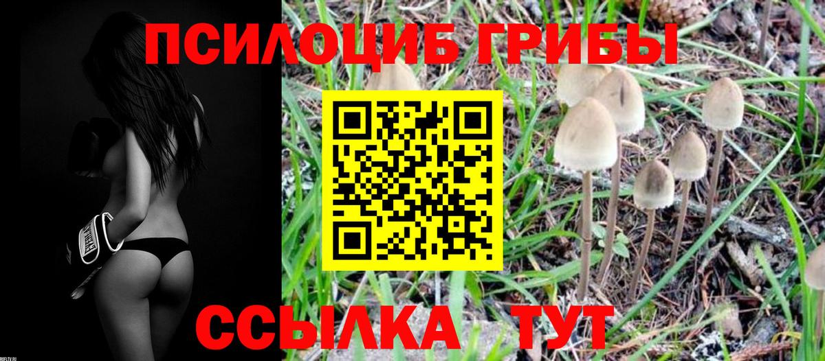 Галлюциногенные грибы MAGIC MUSHROOMS Сатка